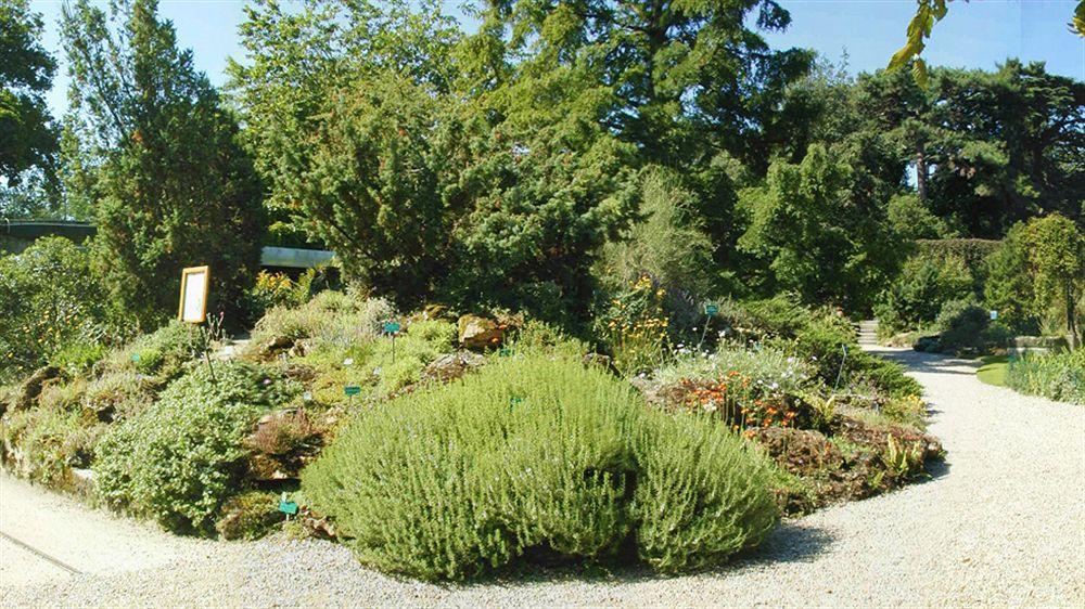 Hotel Du Jardin Des Plantes Parigi