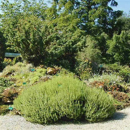 Hotel Du Jardin Des Plantes Parigi